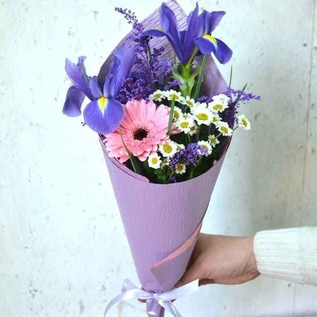 Красотка от 3 400 руб.