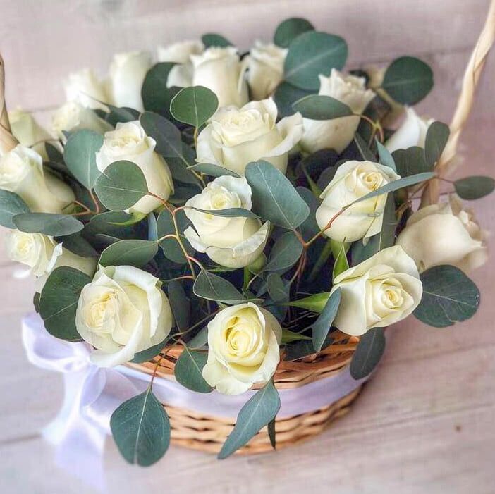 Радость дня от 10 400 руб.